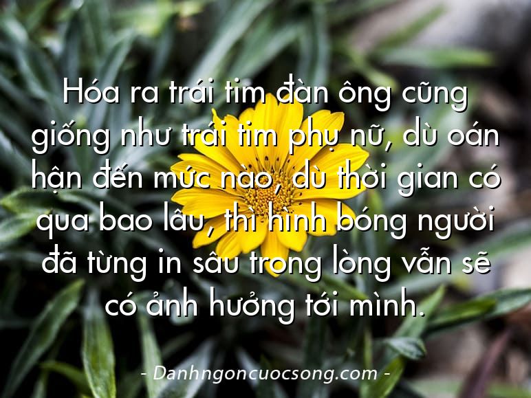 Hóa ra trái tim đàn ông cũng giống như trái tim phụ nữ, dù oán hận đến mức nào, dù thời gian có qua bao lâu, thì hình bóng người đã từng in sâu trong lòng vẫn sẽ có ảnh hưởng tới mình.
