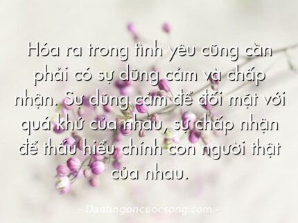 Hóa ra trong tình yêu cũng cần phải có sự dũng cảm và chấp nhận. Sự dũng cảm để đối mặt với quá khứ của nhau, sự chấp nhận để thấu hiểu chính con người thật của nhau.