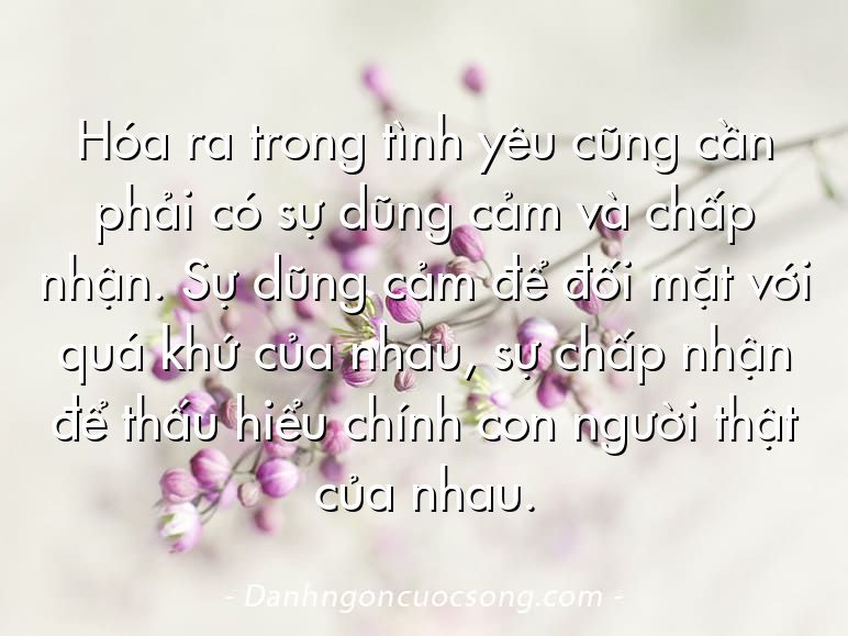 Hóa ra trong tình yêu cũng cần phải có sự dũng cảm và chấp nhận. Sự dũng cảm để đối mặt với quá khứ của nhau, sự chấp nhận để thấu hiểu chính con người thật của nhau.