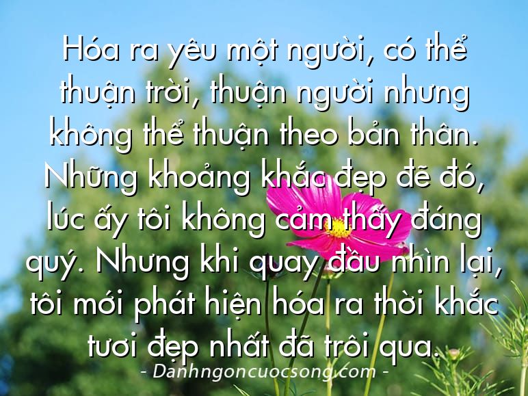 Hóa ra yêu một người, có thể thuận trời, thuận người nhưng không thể thuận theo bản thân. Những khoảng khắc đẹp đẽ đó, lúc ấy tôi không cảm thấy đáng quý. Nhưng khi quay đầu nhìn lại, tôi mới phát hiện hóa ra thời khắc tươi đẹp nhất đã trôi qua.