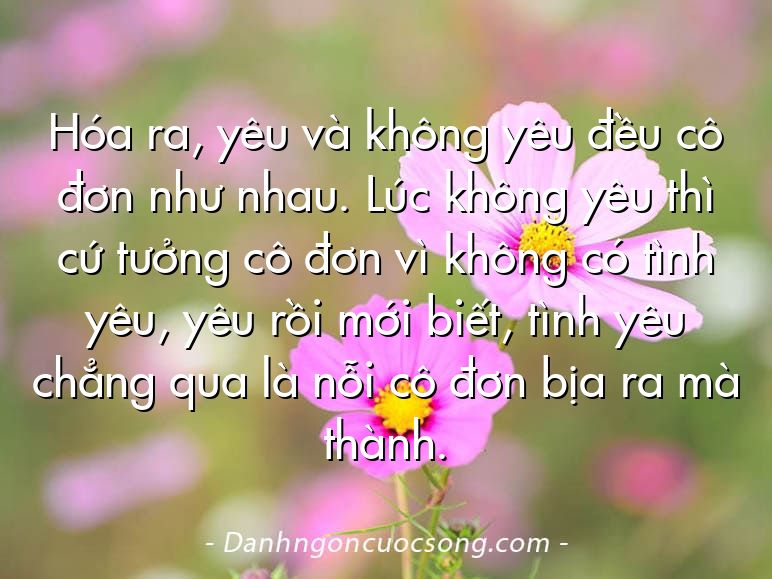 Hóa ra, yêu và không yêu đều cô đơn như nhau. Lúc không yêu thì cứ tưởng cô đơn vì không có tình yêu, yêu rồi mới biết, tình yêu chẳng qua là nỗi cô đơn bịa ra mà thành.
