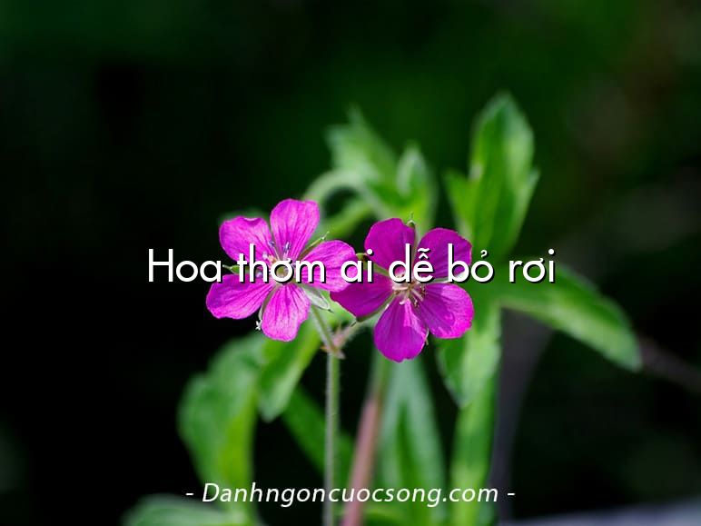 Hoa thơm ai dễ bỏ rơi