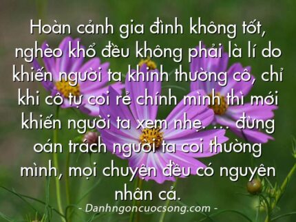 Hoàn cảnh gia đình không tốt, nghèo khổ đều không phải là lí do khiến người ta khinh thường cô, chỉ khi cô tự coi rẻ chính mình thì mới khiến người ta xem nhẹ. … đừng oán trách người ta coi thường mình, mọi chuyện đều có nguyên nhân cả.