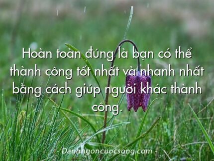Hoàn toàn đúng là bạn có thể thành công tốt nhất và nhanh nhất bằng cách giúp người khác thành công.