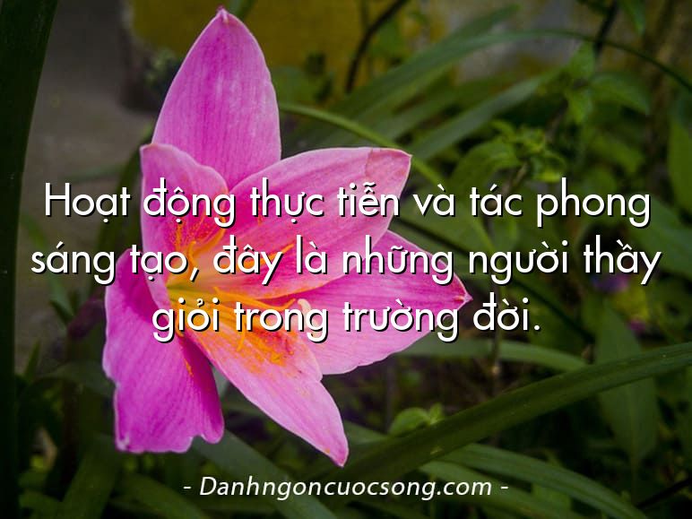 Hoạt động thực tiễn và tác phong sáng tạo, đây là những người thầy giỏi trong trường đời.