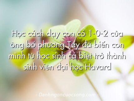 Học cách dạy con có 1-0-2 của ông bố phương Tây đã biến con mình từ học sinh cá biệt trở thành sinh viên đại học Havard