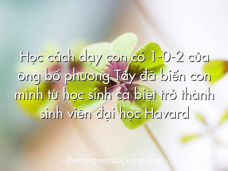 Học cách dạy con có 1-0-2 của ông bố phương Tây đã biến con mình từ học sinh cá biệt trở thành sinh viên đại học Havard