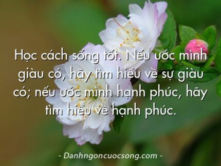 Học cách sống tốt. Nếu ước mình giàu có, hãy tìm hiểu về sự giàu có; nếu ước mình hạnh phúc, hãy tìm hiểu về hạnh phúc.
