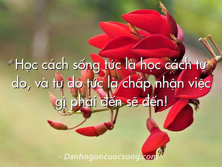 Học cách sống tức là học cách tự do, và tự do tức là chấp nhận việc gì phải đến sẽ đến!