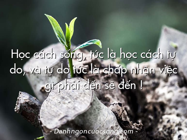 Học cách sống, tức là học cách tự do, và tự do tức là chấp nhận việc gì phải đến sẽ đến !