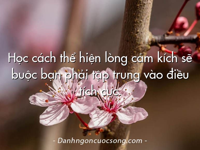 Học cách thể hiện lòng cảm kích sẽ buộc bạn phải tập trung vào điều tích cực.