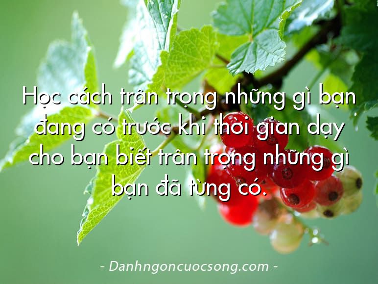 Học cách trân trọng những gì bạn đang có trước khi thời gian dạy cho bạn biết trân trọng những gì bạn đã từng có.