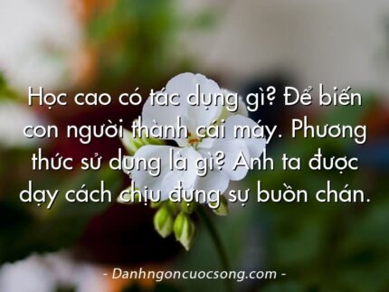 Học cao có tác dụng gì? Để biến con người thành cái máy. Phương thức sử dụng là gì? Anh ta được dạy cách chịu đựng sự buồn chán.