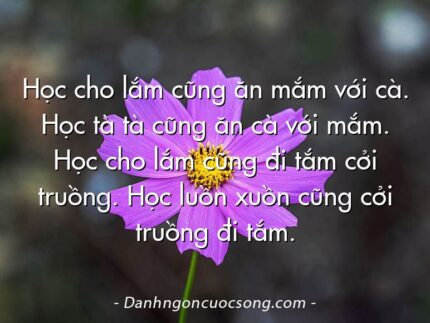 Học cho lắm cũng ăn mắm với cà. Học tà tà cũng ăn cà với mắm. Học cho lắm cũng đi tắm cởi truồng. Học luồn xuồn cũng cởi truồng đi tắm.