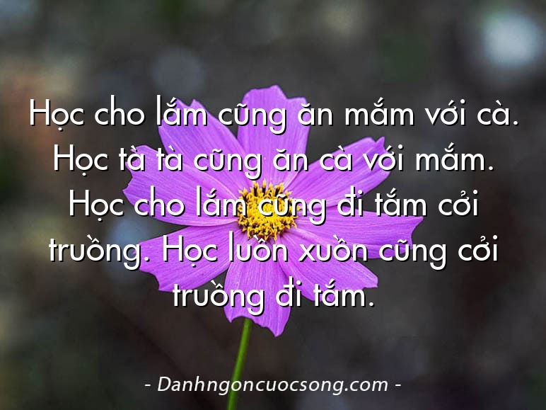 Học cho lắm cũng ăn mắm với cà. Học tà tà cũng ăn cà với mắm. Học cho lắm cũng đi tắm cởi truồng. Học luồn xuồn cũng cởi truồng đi tắm.