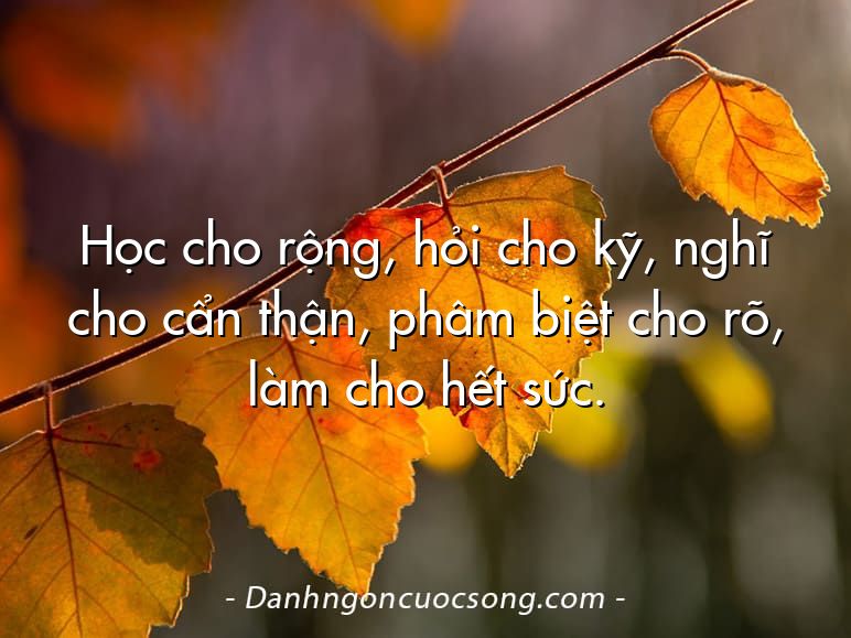 Học cho rộng, hỏi cho kỹ, nghĩ cho cẩn thận, phâm biệt cho rõ, làm cho hết sức.