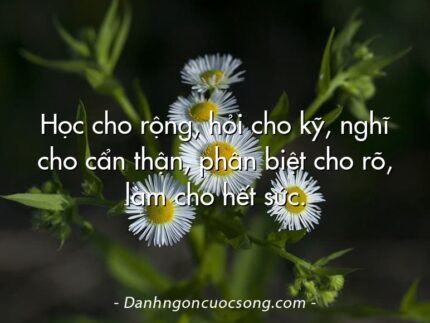 Học cho rộng, hỏi cho kỹ, nghĩ cho cẩn thận, phân biệt cho rõ, làm cho hết sức.