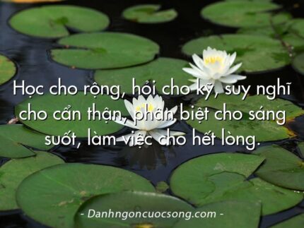 Học cho rộng, hỏi cho kỹ, suy nghĩ cho cẩn thận, phân biệt cho sáng suốt, làm việc cho hết lòng.