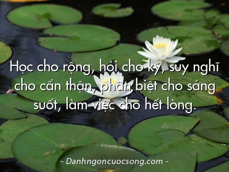 Học cho rộng, hỏi cho kỹ, suy nghĩ cho cẩn thận, phân biệt cho sáng suốt, làm việc cho hết lòng.