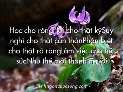 Học cho rộngHỏi cho thật kỹSuy nghĩ cho thật cẩn thậnPhân biệt cho thật rõ ràngLàm việc cho hết sứcNhư thế mới thành người