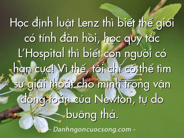 Học định luật Lenz thì biết thế giới có tính đàn hồi, học quy tắc L’Hospital thì biết con người có hạn cực! Vì thế, tôi chỉ có thể tìm sự giải thoát cho mình trong vận động toán của Newton, tự do buông thả.
