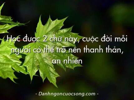 Học được 2 chữ này, cuộc đời mỗi người có thể trở nên thanh thản, an nhiên