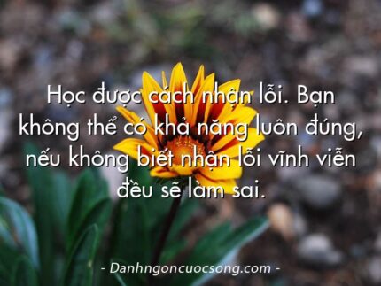 Học được cách nhận lỗi. Bạn không thể có khả năng luôn đúng, nếu không biết nhận lỗi vĩnh viễn đều sẽ làm sai.