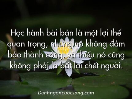 Học hành bài bản là một lợi thế quan trọng, nhưng nó không đảm bảo thành công, và thiếu nó cũng không phải là bất lợi chết người.