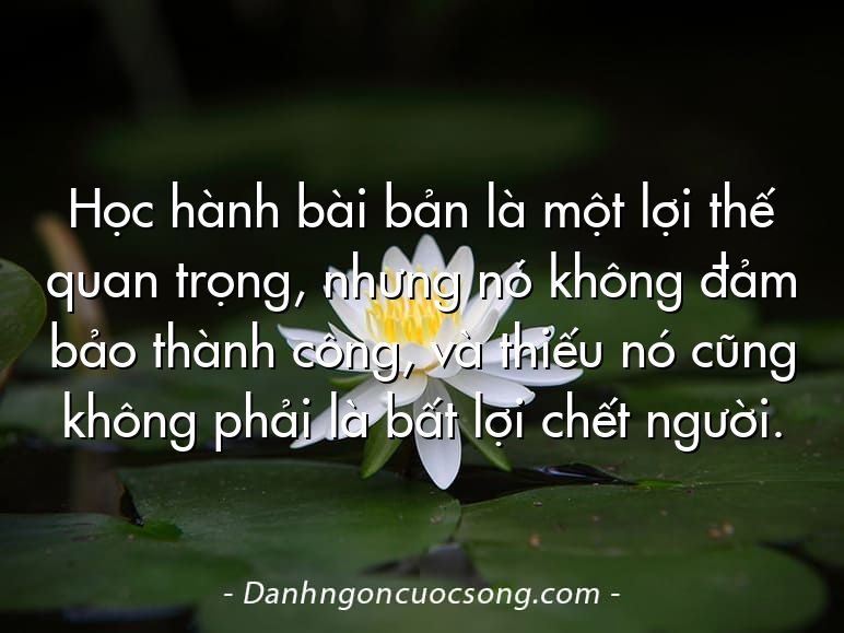 Học hành bài bản là một lợi thế quan trọng, nhưng nó không đảm bảo thành công, và thiếu nó cũng không phải là bất lợi chết người.