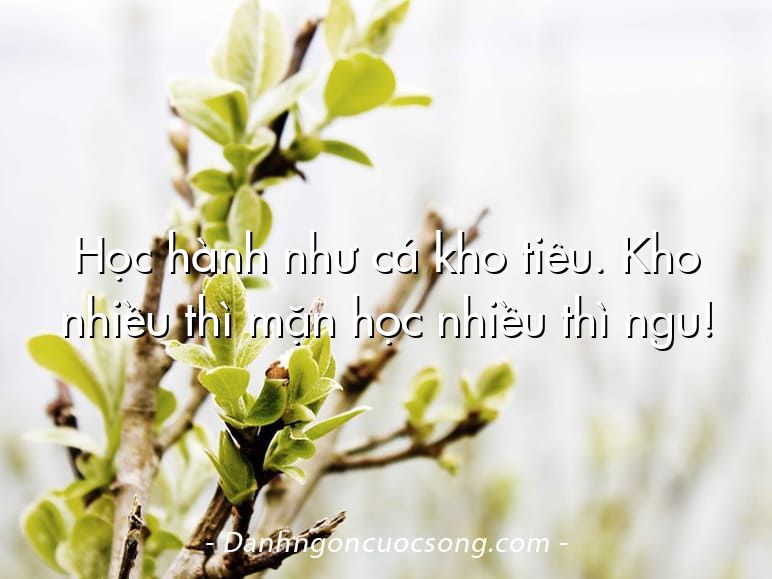 Học hành như cá kho tiêu. Kho nhiều thì mặn học nhiều thì ngu!