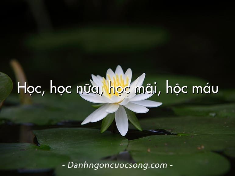 Học, học nữa, học mãi, hộc máu