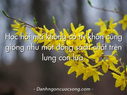 Học hỏi mà không có trí khôn cũng giống như một đống sách chất trên lưng con lừa.