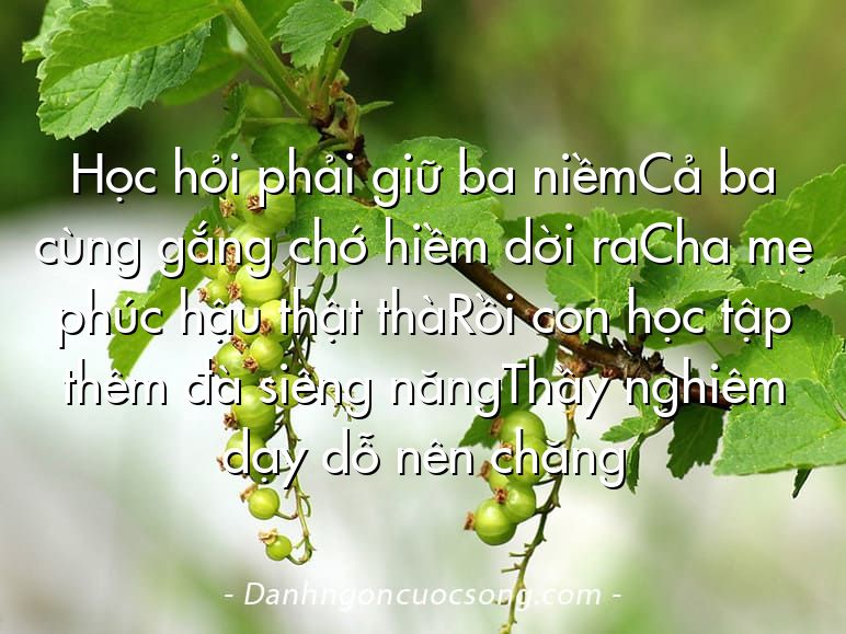 Học hỏi phải giữ ba niềmCả ba cùng gắng chớ hiềm dời raCha mẹ phúc hậu thật thàRồi con học tập thêm đà siêng năngThầy nghiêm dạy dỗ nên chăng