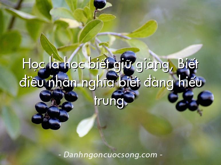 Học là học biết giữ giàng, Biết điều nhân nghĩa biết đàng hiếu trung.