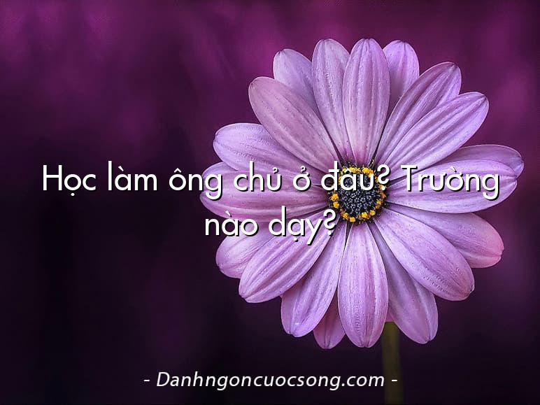 Học làm ông chủ ở đâu? Trường nào dạy?