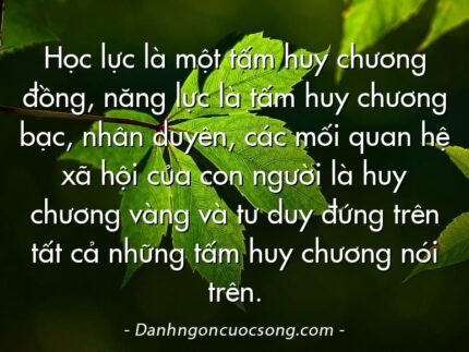 Học lực là một tấm huy chương đồng, năng lực là tấm huy chương bạc, nhân duyên, các mối quan hệ xã hội của con người là huy chương vàng và tư duy đứng trên tất cả những tấm huy chương nói trên.
