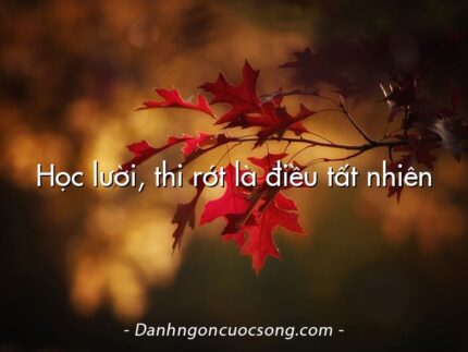 Học lười, thi rớt là điều tất nhiên