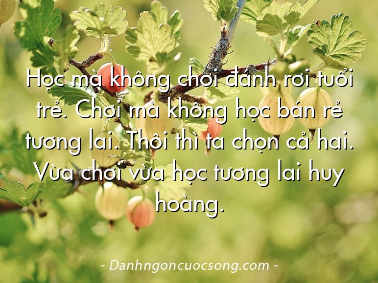 Học mà không chơi đánh rơi tuổi trẻ. Chơi mà không học bán rẻ tương lai. Thôi thì ta chọn cả hai. Vừa chơi vừa học tương lai huy hoàng.