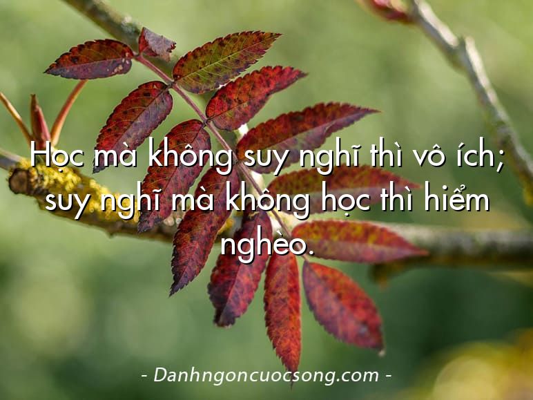 Học mà không suy nghĩ thì vô ích; suy nghĩ mà không học thì hiểm nghèo.