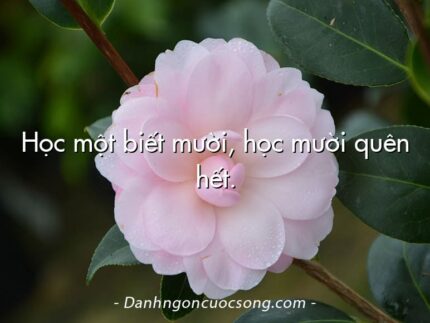 Học một biết mười, học mười quên hết.