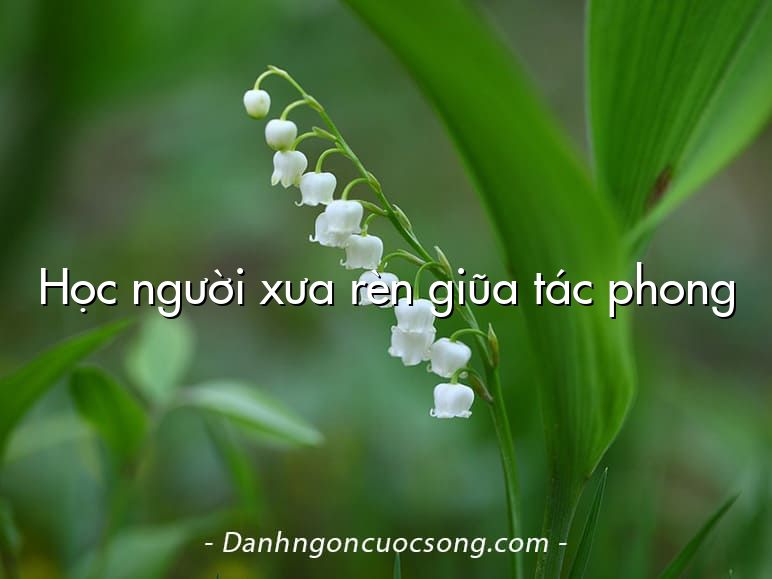 Học người xưa rèn giũa tác phong