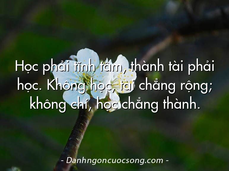 Học phải tĩnh tâm, thành tài phải học. Không học, tài chẳng rộng; không chí, học chẳng thành.