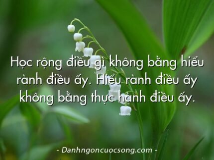 Học rộng điều gì không bằng hiểu rành điều ấy. Hiểu rành điều ấy không bằng thực hành điều ấy.