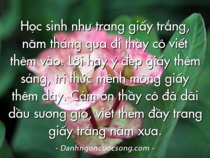 Học sinh như trang giấy trắng, năm tháng qua đi thầy cô viết thêm vào. Lời hay ý đẹp giấy thêm sáng, tri thức mênh mông giấy thêm dày. Cảm ơn thầy cô đã dãi dầu sương gió, viết thêm đầy trang giấy trắng năm xưa.