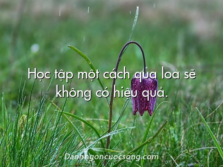 Học tập một cách qua loa sẽ không có hiệu quả.