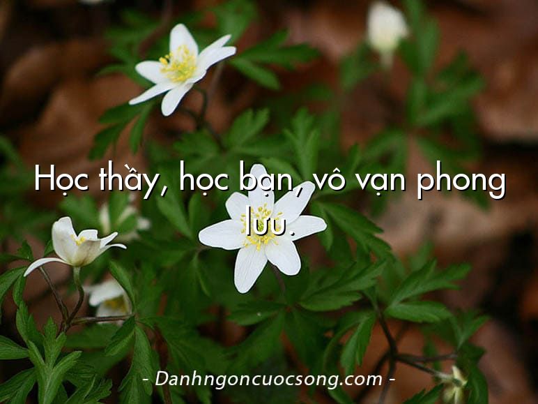 Học thầy, học bạn, vô vạn phong lưu.