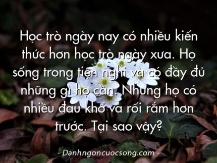 Học trò ngày nay có nhiều kiến thức hơn học trò ngày xưa. Họ sống trong tiện nghi và có đầy đủ những gì họ cần. Nhưng họ có nhiều đau khổ và rối rắm hơn trước. Tại sao vậy?