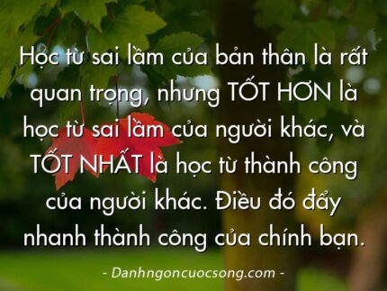 Học từ sai lầm của bản thân là rất quan trọng, nhưng TỐT HƠN là học từ sai lầm của người khác, và TỐT NHẤT là học từ thành công của người khác. Điều đó đẩy nhanh thành công của chính bạn.