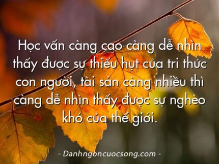 Học vấn càng cao càng dễ nhìn thấy được sự thiếu hụt của tri thức con người, tài sản càng nhiều thì càng dễ nhìn thấy được sự nghèo khó của thế giới.