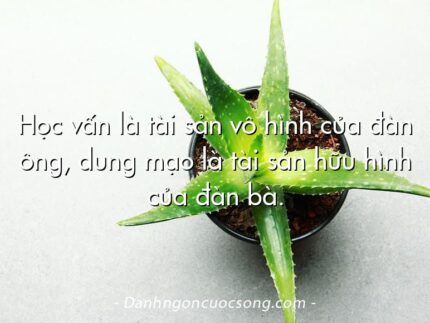 Học vấn là tài sản vô hình của đàn ông, dung mạo là tài sản hữu hình của đàn bà.